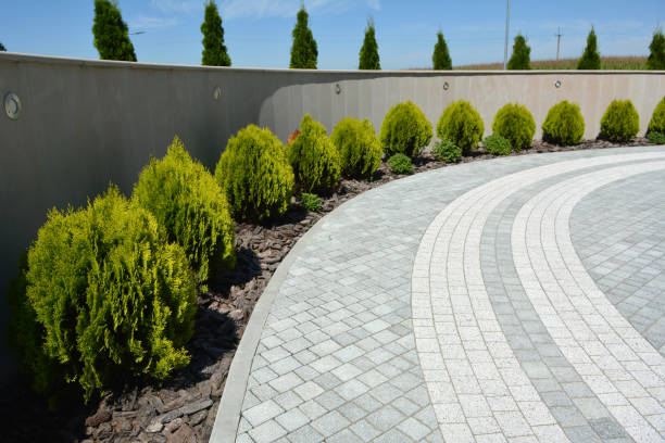Best Best Driveway Pavers  in Woodlawn Beach, FL